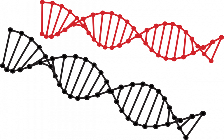 FACULTEIT DER NATUURWETENSCHAPPEN WISKUNDE EN INFORMATICA